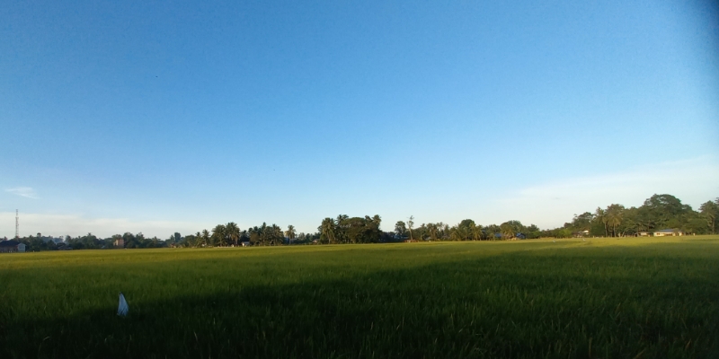 Blang Linggong